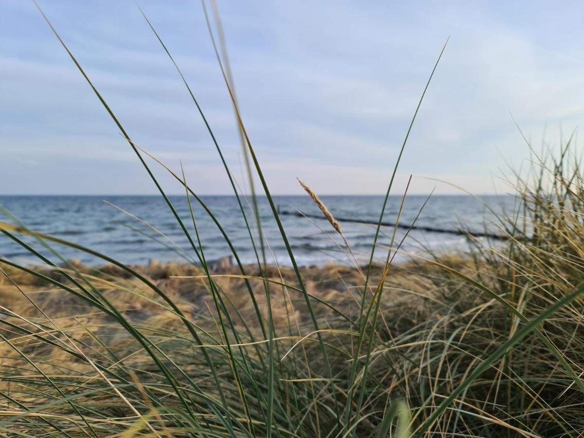 Ihr Ostseedomizil, Im Ortskern Von Kellenhusen, Strandnah Und Mittendrin Apartment Exterior photo